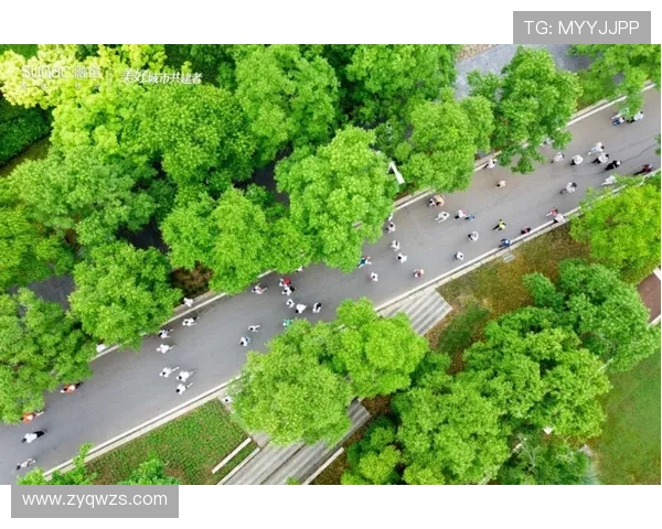 武汉乒乓球队状态深度对比分析及未来发展趋势探讨