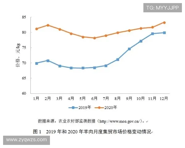 独家解析西安排球队实力对比及未来发展趋势分析